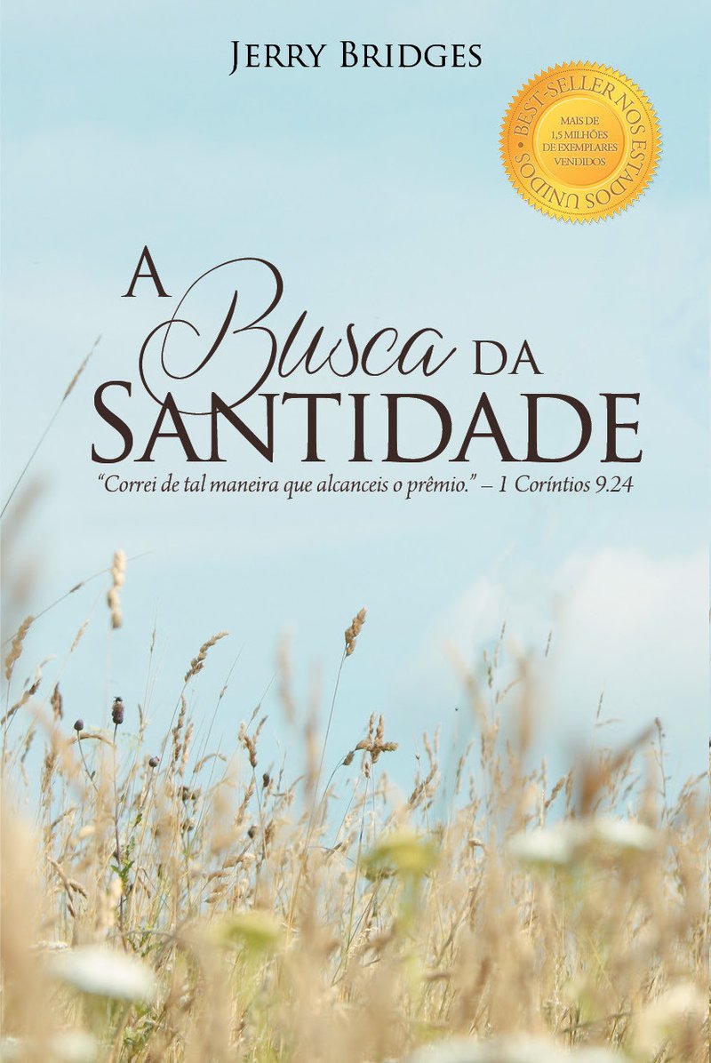 A Busca da Santidade